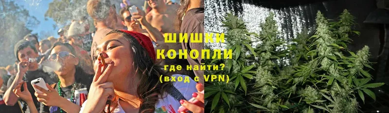 МЕГА tor  что такое наркотик  Поворино  Шишки марихуана Ganja 